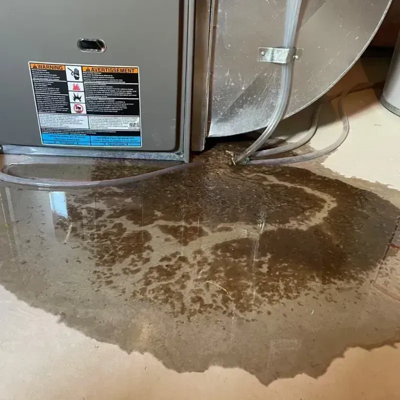 Appliance Leak Cleanup in Stoddard County, MO